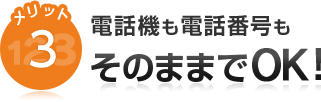 メリット3 電話機も電話番号もそのままでOK!