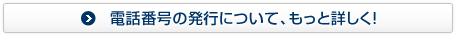 電話番号の発行について、もっと詳しく！