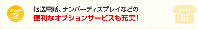 メリット2 転送電話、ナンバーディスプレイなどの便利なオプションサービスも充実！