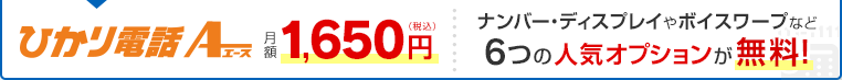 ひかり電話エース 月額1,650円（税込）ナンバー・ディスプレイやボイスワープなど6つの人気オプションが無料！