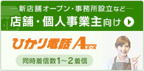 新店舗オープン・事務所設立など 店舗・個人事業主向け ひかり電話エース（同時着信数1～2着信）